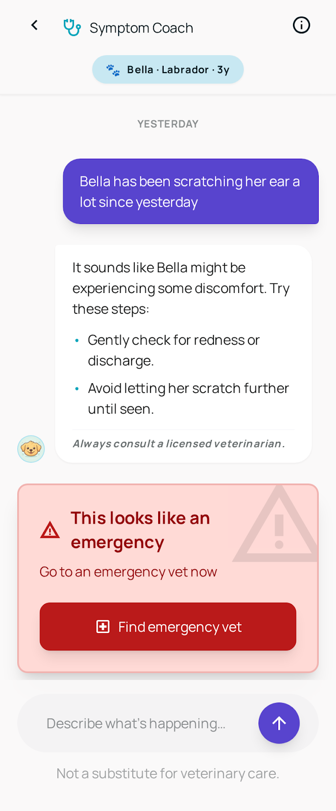 Maisie chat answering a symptom question